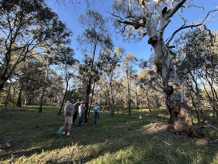 251016 BBLG Bookham Cemetry 3519