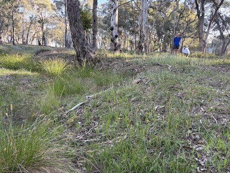 251016 BBLG Bookham Cemetry 3530