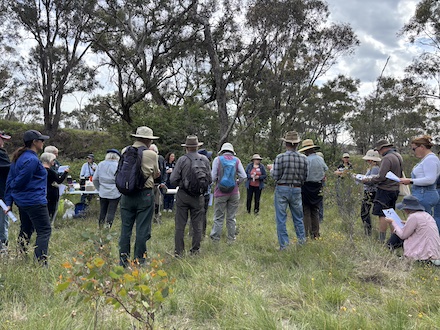 251117 BelowOurKnees NativeGrassland 4249
