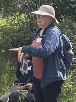 251117 BelowOurKnees NativeGrassland 4251