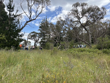 251117 BelowOurKnees NativeGrassland 4256