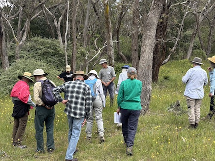 251117 BelowOurKnees NativeGrassland 4258