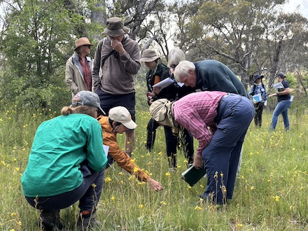 251117 BelowOurKnees NativeGrassland 4272