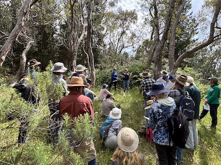 251117 BelowOurKnees NativeGrassland 4287
