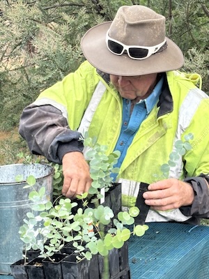 BBLG Nursery Morning Tea 260222 5636