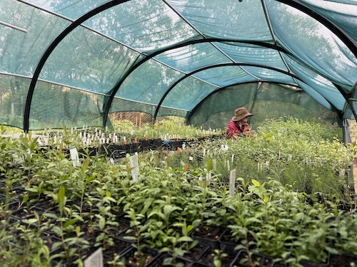 BBLG Nursery Morning Tea 260222 5641