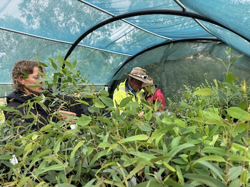 BBLG Nursery Morning Tea 260222 5652