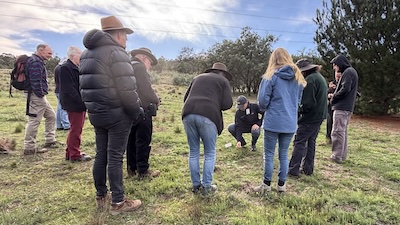 Below Knees Grasslands 260328 6140F