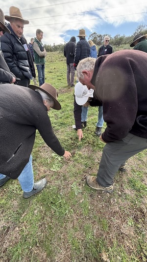 Below Knees Grasslands 260328 6144D