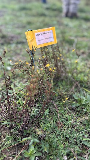 Below Knees Grasslands 260328 6145 2D