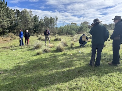 Below Knees Grasslands 260328 6161G