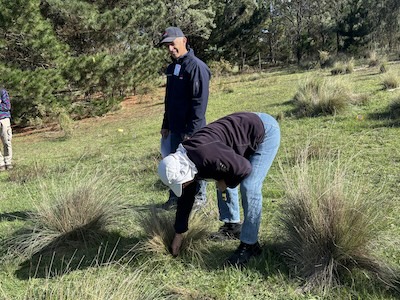 Below Knees Grasslands 260328 6174H