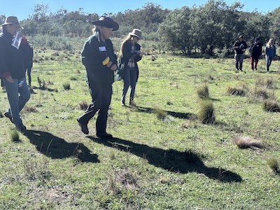 Below Knees Grasslands 260328 6177K