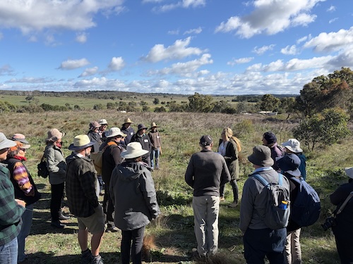 Below Knees Grasslands A 260411 0256