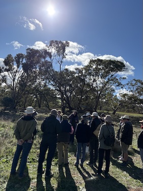 Below Knees Grasslands B 260411 0253