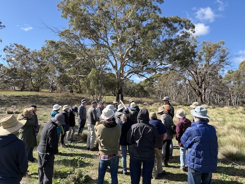 Below Knees Grasslands C 260411 0268