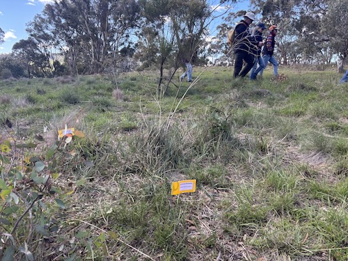Below Knees Grasslands E 260411 6432