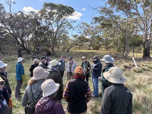 Below Knees Grasslands F 260411 0265