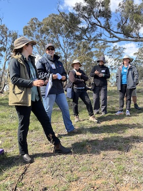 Below Knees Grasslands G 260411 0291