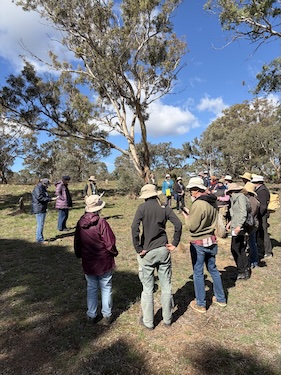 Below Knees Grasslands H 260411 0298
