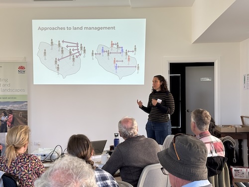 Below Knees Grasslands I 260411 6459