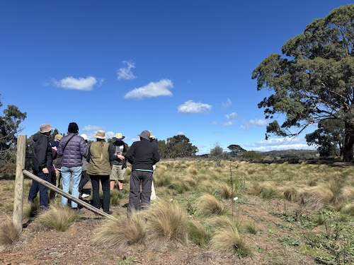 Below Knees Grasslands J 260411 6435