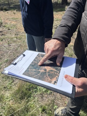 Below Knees Grasslands O 260411 6437