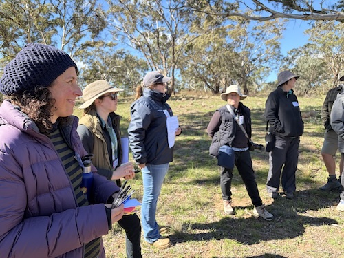 Below Knees Grasslands R 260411 0282