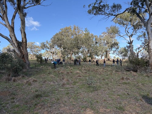 Below Knees Grasslands S 260411 0277