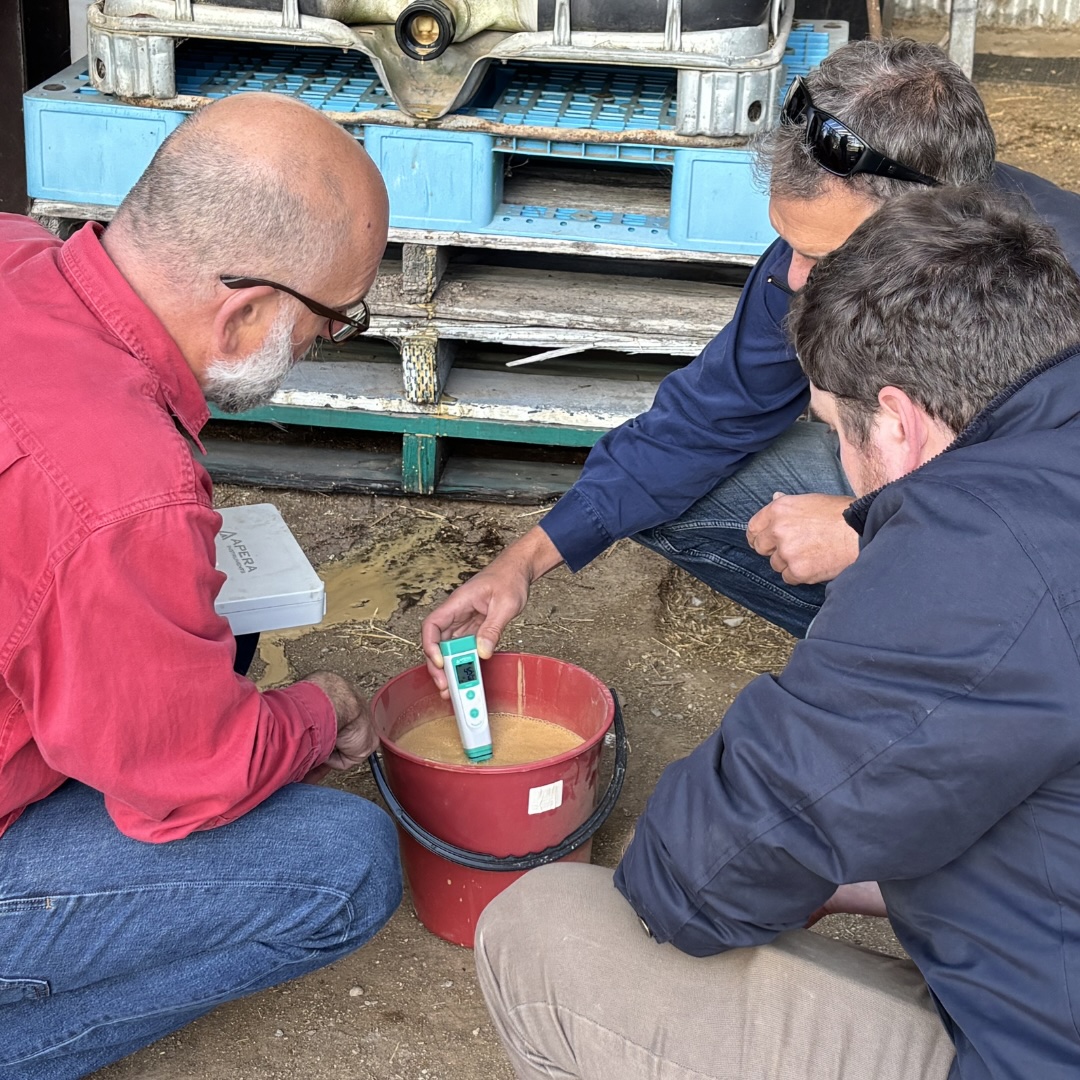 Bugs and Brews: Exploring Biofertilisers and Inoculants on Farm