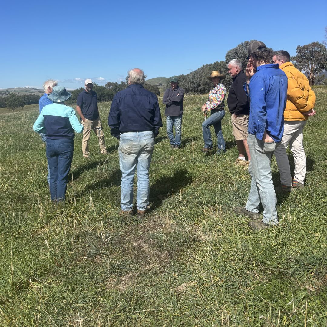 Landcare on Farms: Winter Preparation, Shared Knowledge and Stronger Connections