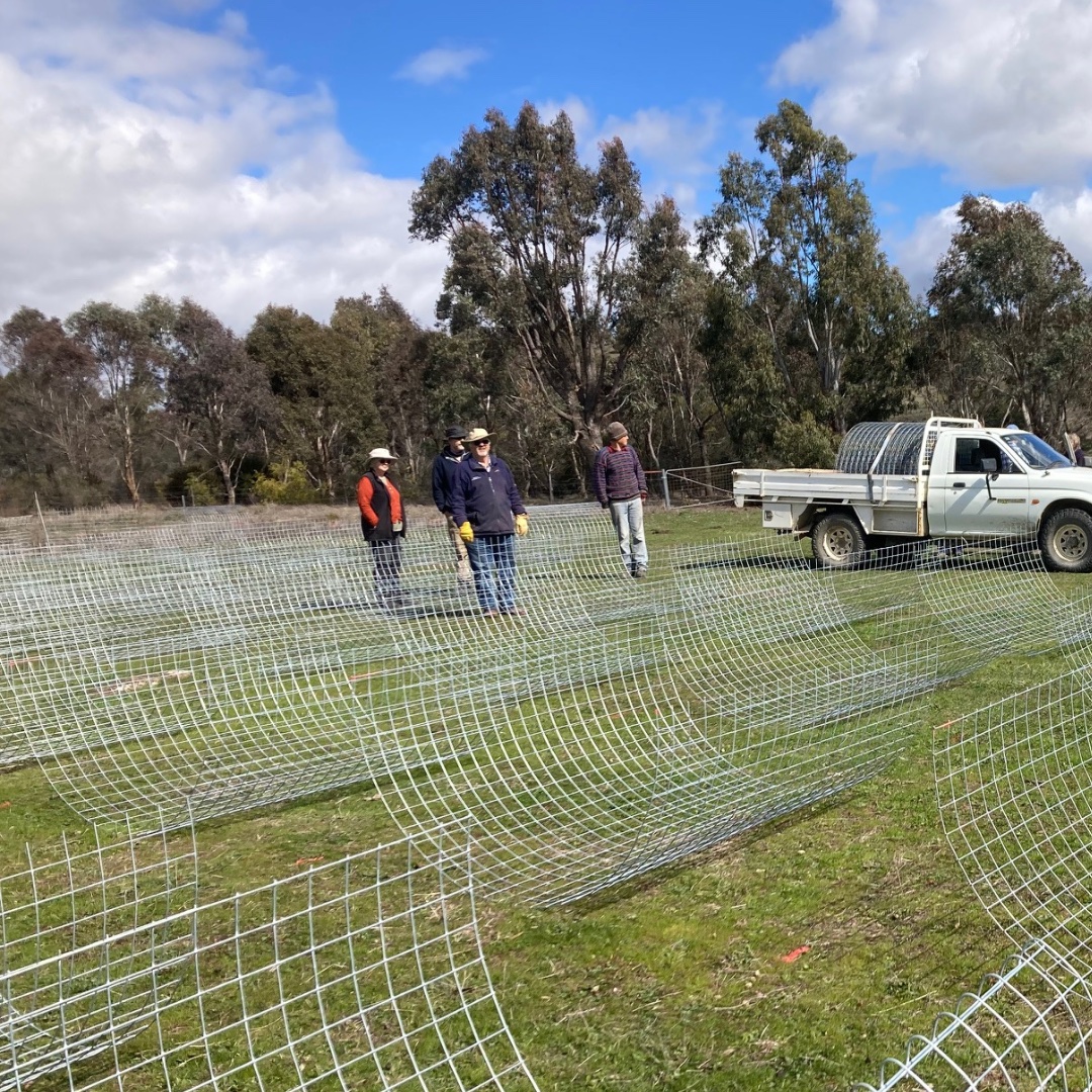 Growing the Future: 250 New Paddock Trees for the Yass Valley