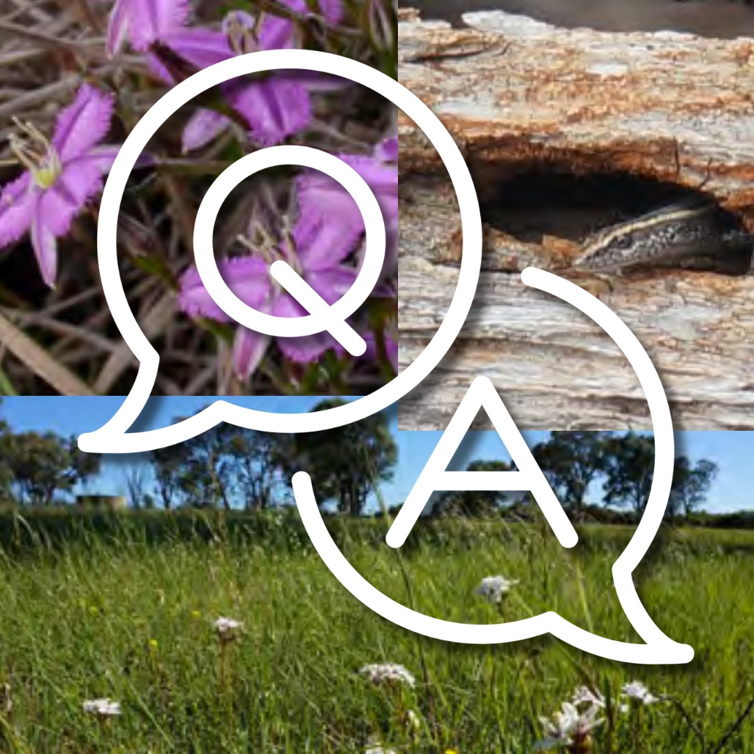 Big Questions, Rich Insights: Highlights from Murrumbateman Landcare’s July Q&A Session