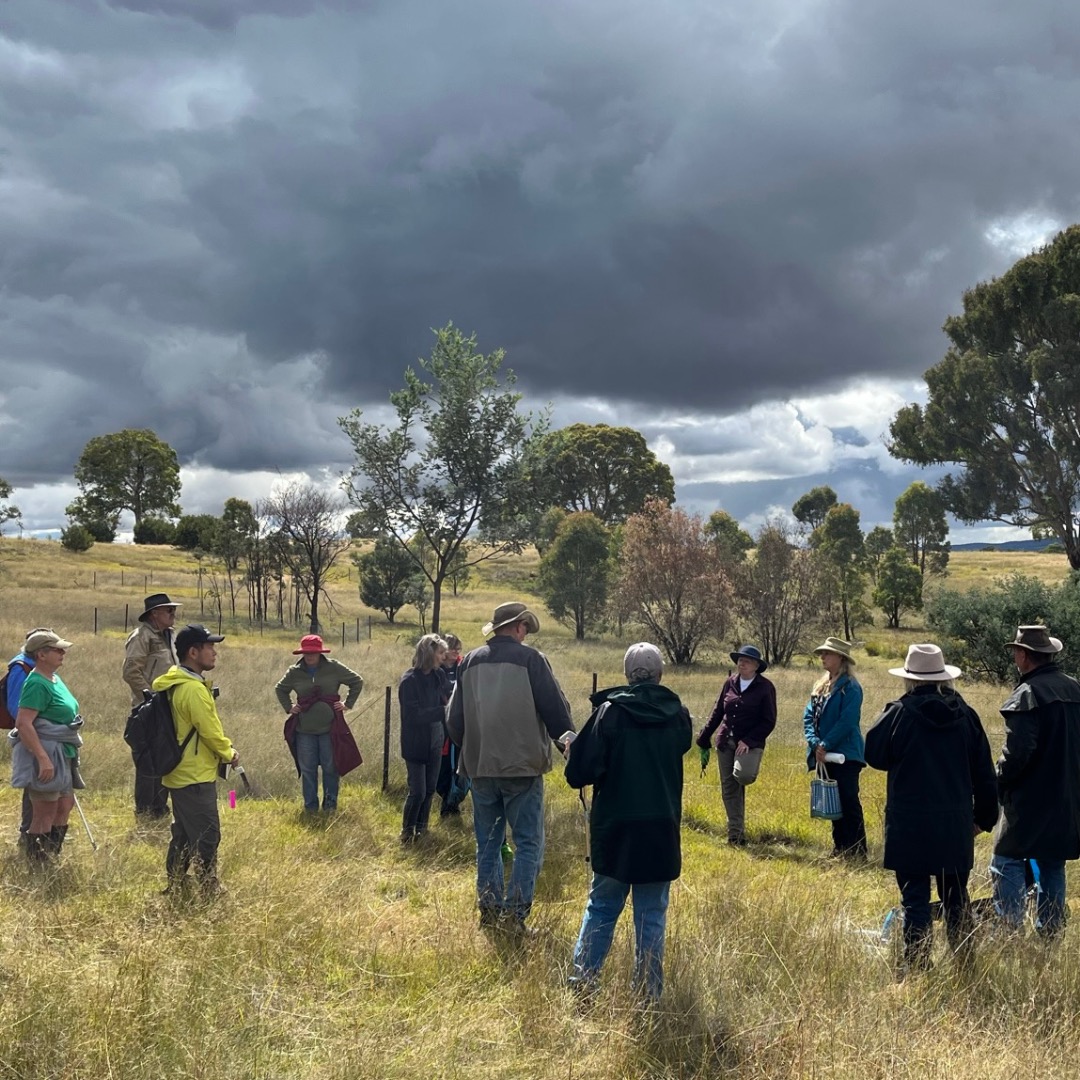 Restoring vegetation structure and function for climate resilience