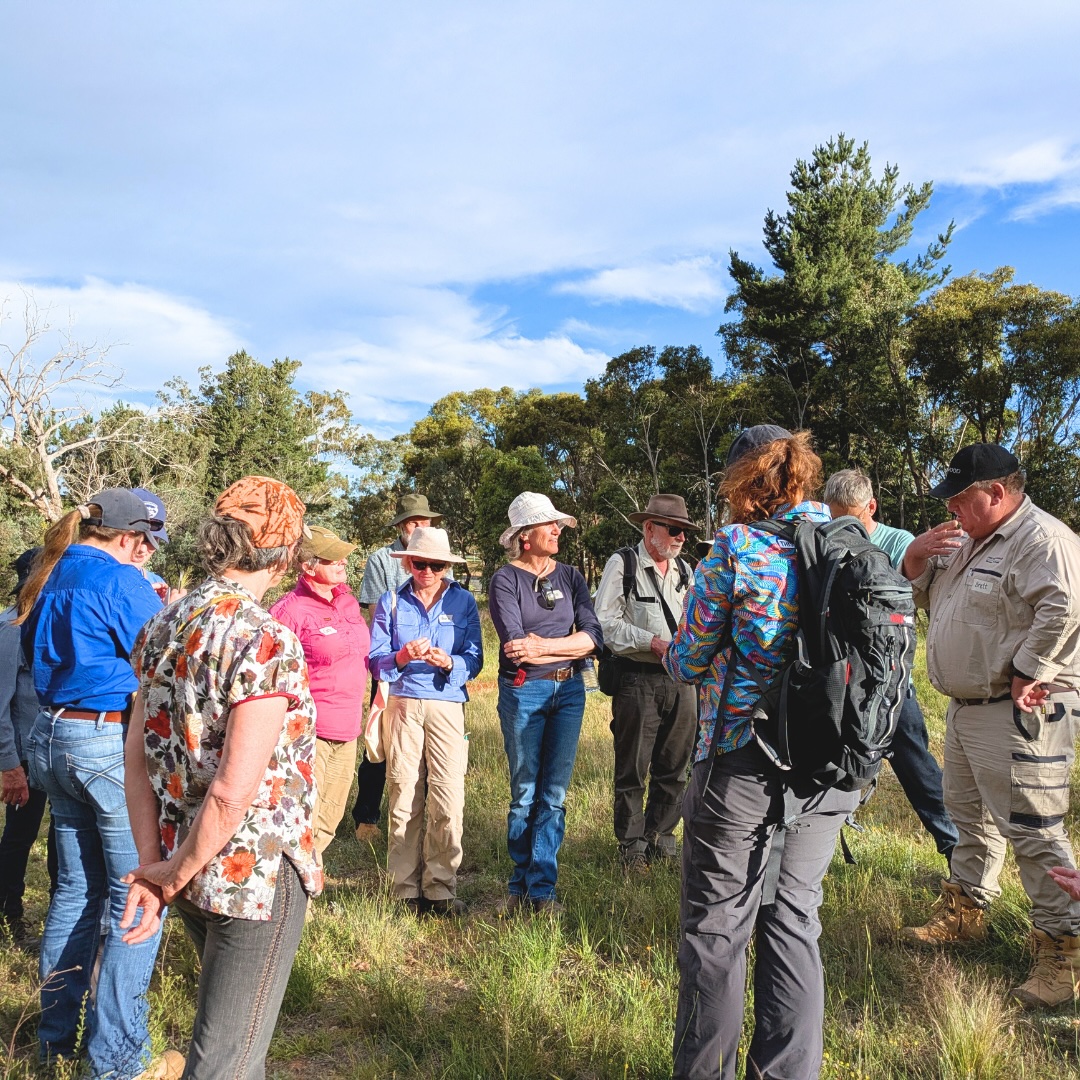 Weed and Native Plant ID Walk at Sutton Village Reserve