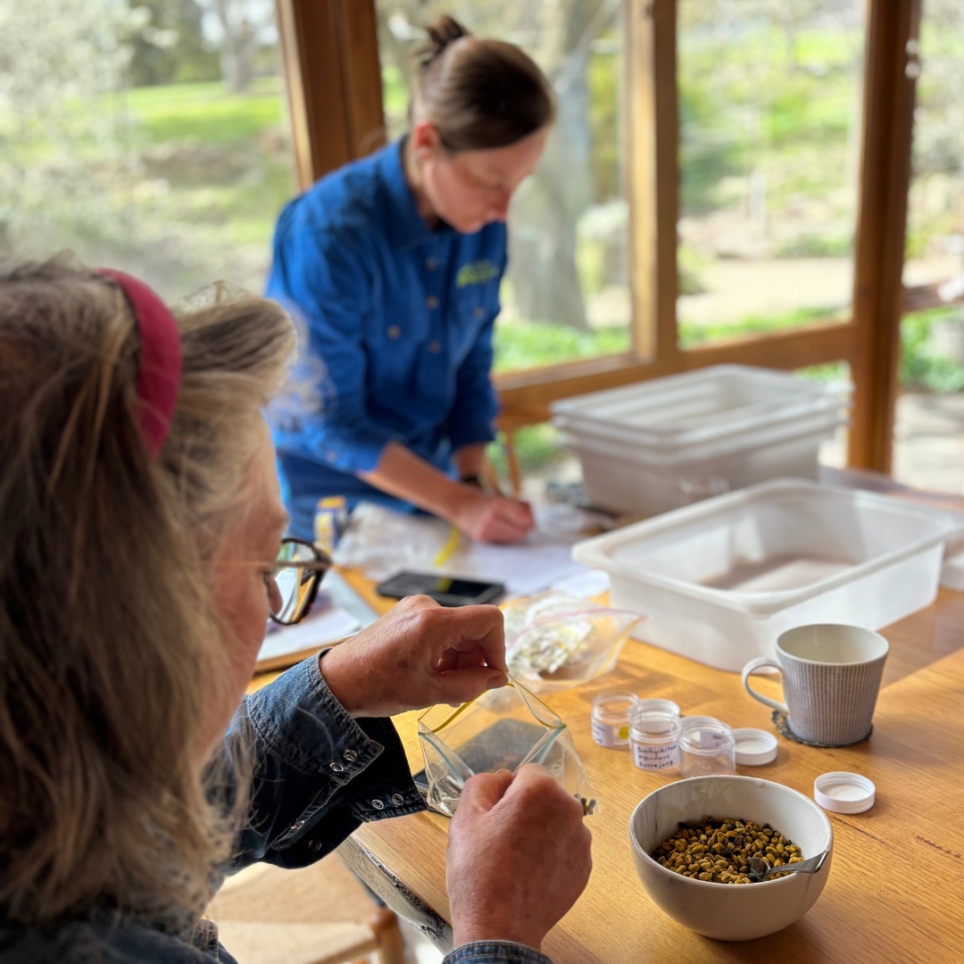 Sorting Seeds for a Climate-Ready Future
