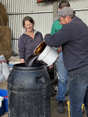 BugsBrews SMcGrath 7254 2