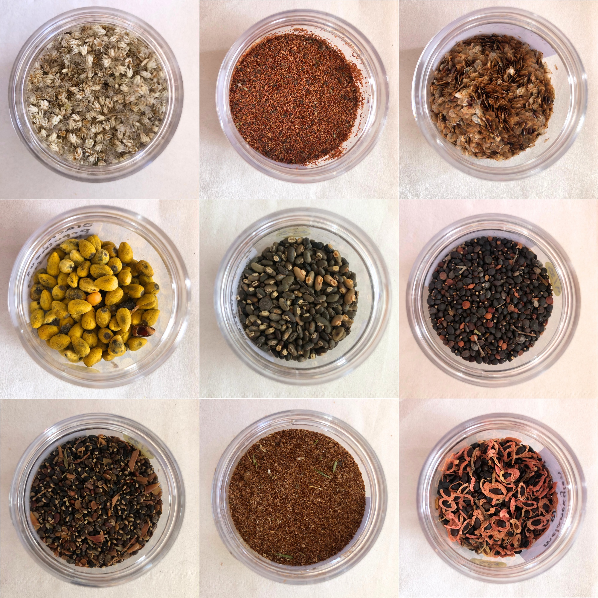 Seed with a story