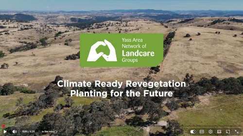 CRR Video Opening title smaller