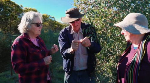 CRR Video Xanadu 2 smaller