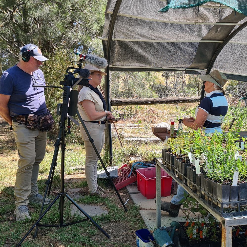 Our Climate Ready Revegetation Story in Motion