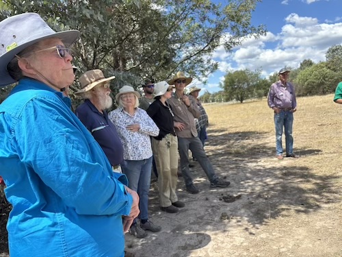 DirectSeeding 260220 5599