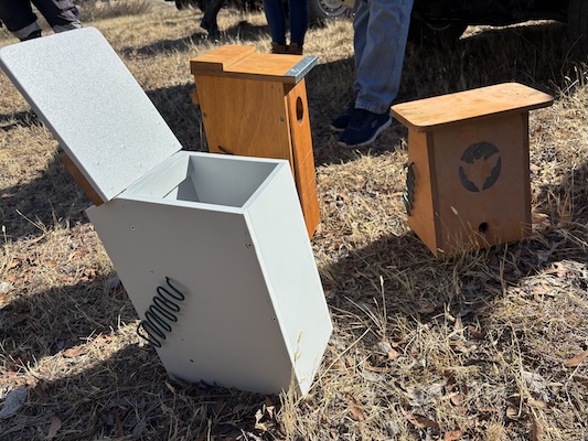 HollowHog 260208 5200