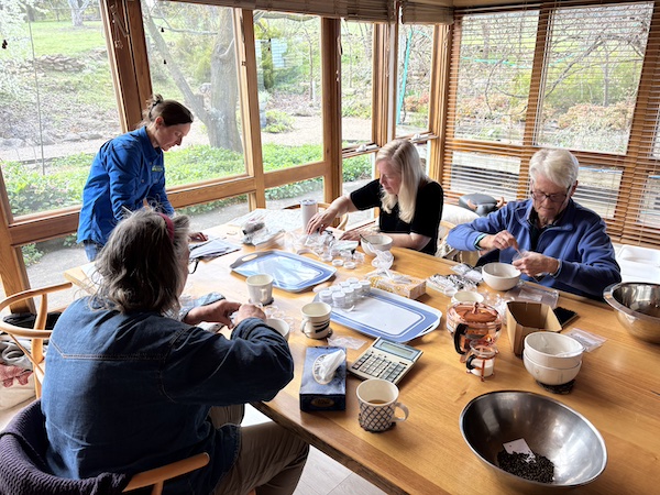 SeedSorting25 12