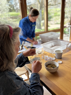 SeedSorting25 9