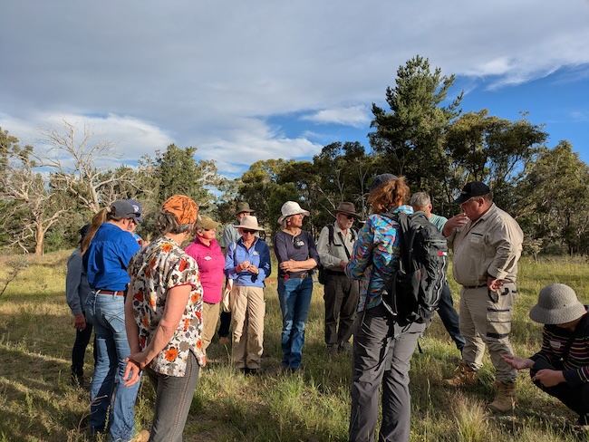 SuttonWeedWalk Group