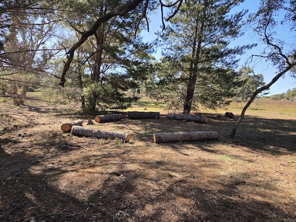 Sutton Reserve gathering circle 20260420