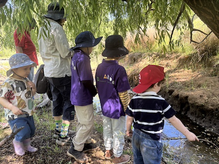 YLG Childrens Frogwatch 251019 3658