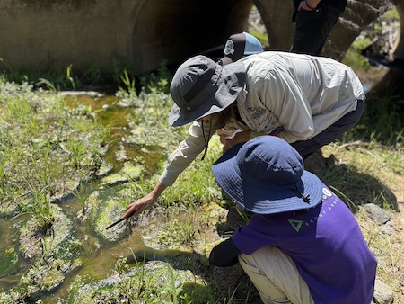 YLG Childrens Frogwatch 251019 3709