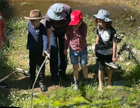 YLG Childrens Frogwatch 251019 3993